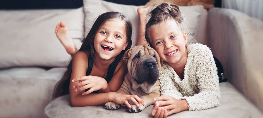 RJ-AIQ-AirCleaners air purifiers and exchangers work to make your home's indoor air more healthy